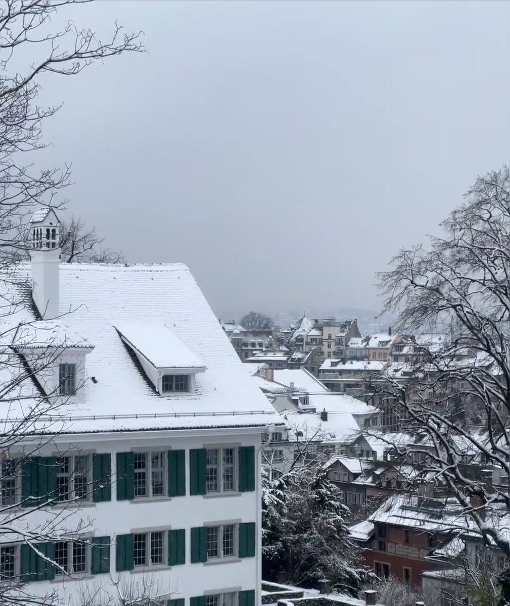 moiz156's tweet photo. Now take out the winter photos and dry them   will they melt away?🤣 https://t.co/zFwbZLaSof