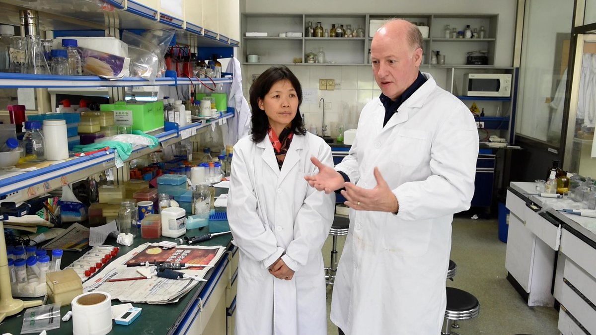 The photo of the illegal bio-lab turned out to be a stock image. Looking for a genuine picture of a messy lab? Check out Shi Zhengli's workspace. Reused disposable gloves, newspapers as bench liners... Can you spot the hidden coffee mug? #UnconventionalLab