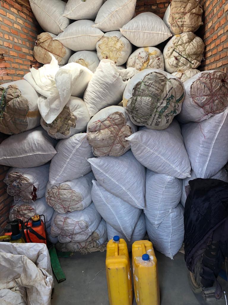 ImigongoFarms's tweet photo. ๐ถ๏ธ๐ Chilli harvest almost done!
๐ถ๏ธ Sun-dried & packed for transport in a bustling warehouse. Looking forward to our avo & mango plantation, irrigation tender finished, still waiting for the water permit. ๐ฅ๐ฅญ #HarvestTime #ImigongoFarms #farmAfrica #farmRwanda #chillies https://t.co/DH5tHSyGy8