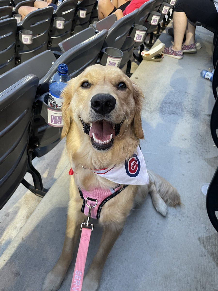 Can’t wait to see so many new fields⚾️🤍