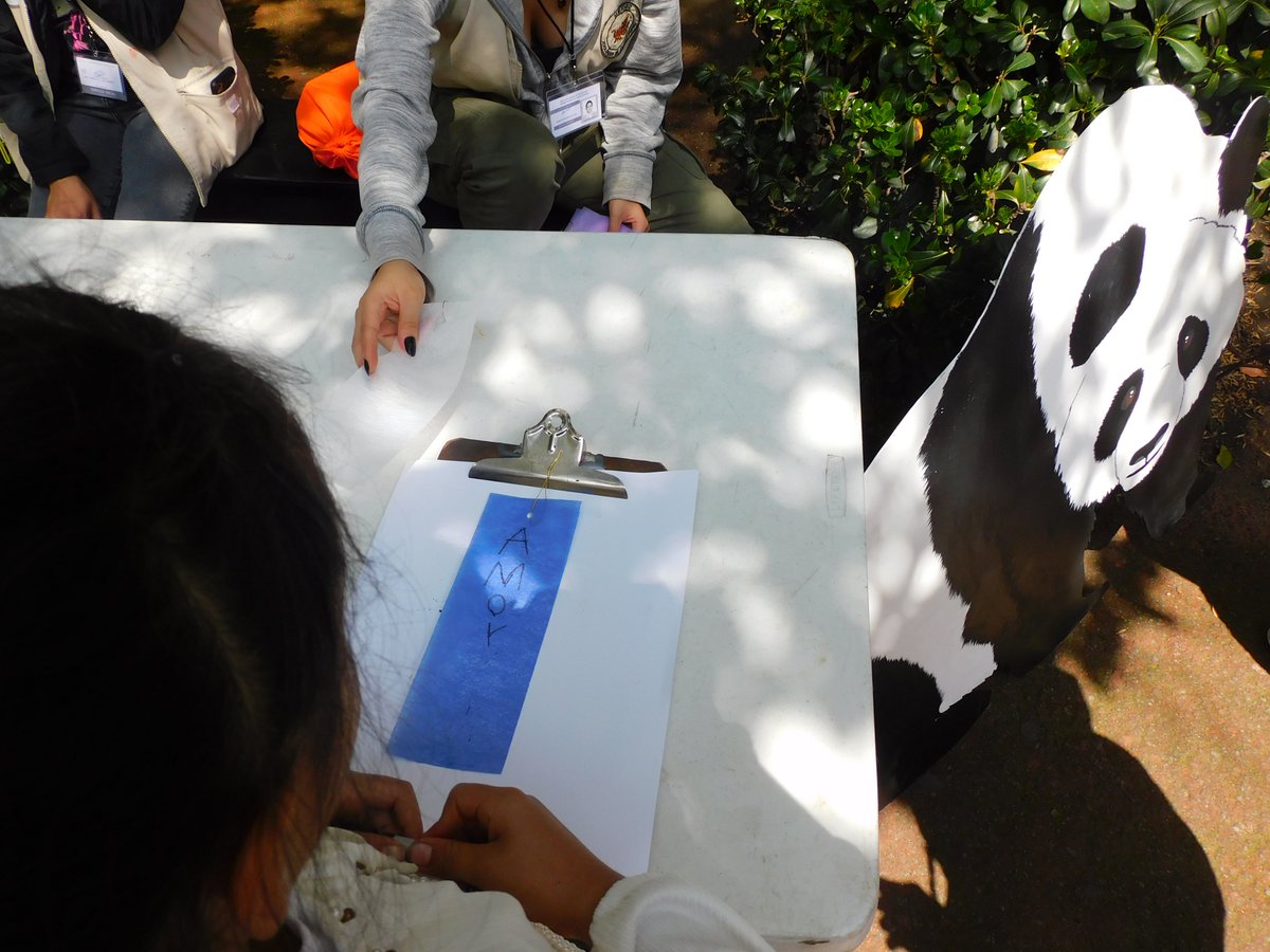 ZoologicosCDMX's tweet image. Por que una palabra expresa mucho, ven y participa en la actividad “El amor por los pandas” y dinos en una palabra que significan para ti, los pandas. Todo esto y más en el marco de los 100 años del #ZoológicoDeChapultepec #100AñosHaciendoHistoria