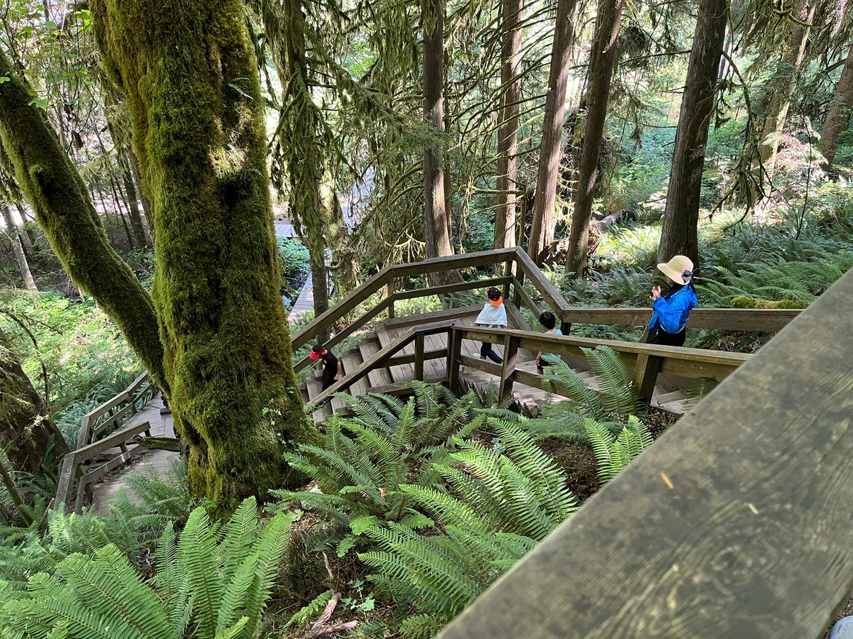 There are many tourists in the Suspension Bridge Park on weekends. 😁 😄