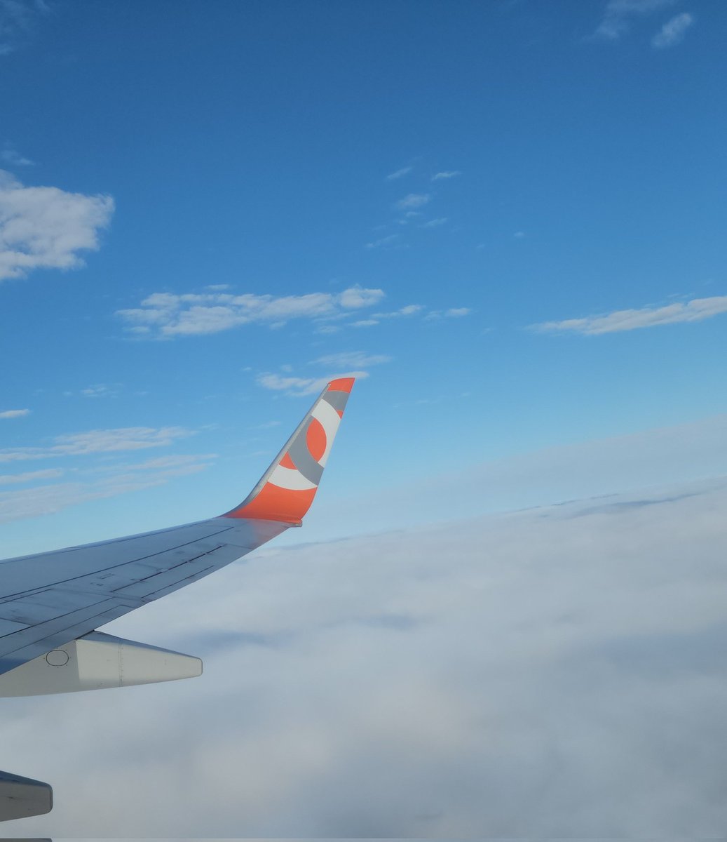 lwtstudy's tweet image. 