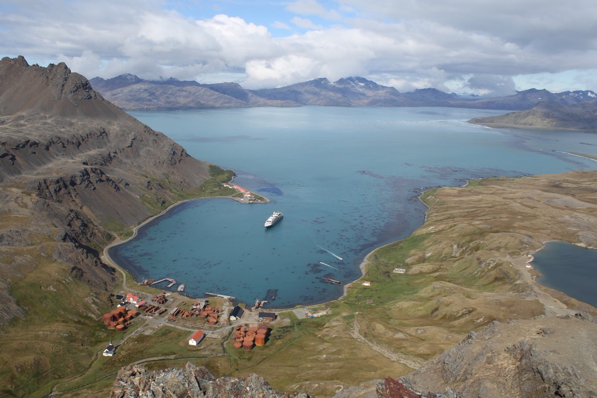 New South Georgia whale paper out - humpbacks return to Cumberland Bay, a century after whaling! #SGwhale #whale #humpback onlinelibrary.wiley.com/doi/10.1111/mm… @polarbiome @_Connorbamford @kenneders @MMEG_UoA @SGHTcharitysite @AucklandUni @ScienceUoA @BAS_News