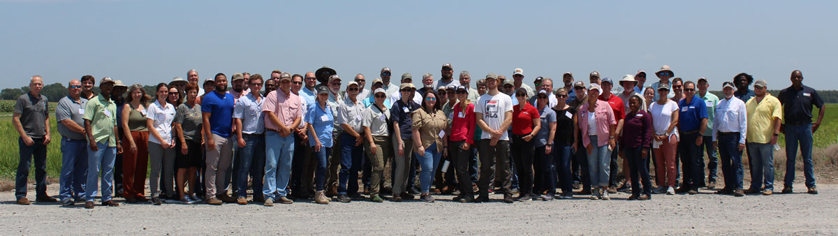 usaricenews's tweet photo. 100+ people - supply chain contributors, @USDA leadership from all 6 #rice growing states, state agencies, rice producers, &amp; friends - gathered to celebrate collective #conservation &amp; #sustainability efforts as the Rice Stewardship Partnership turned 10! @DucksUnlimited @NBGC100 https://t.co/MAoLQe9gMl