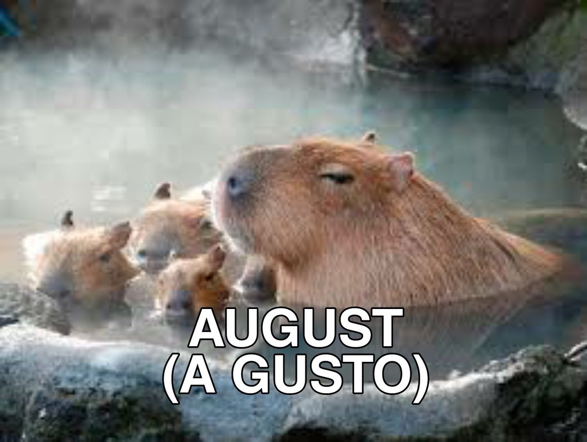 memes feos yo qué sé (@memefeos) on Twitter photo 