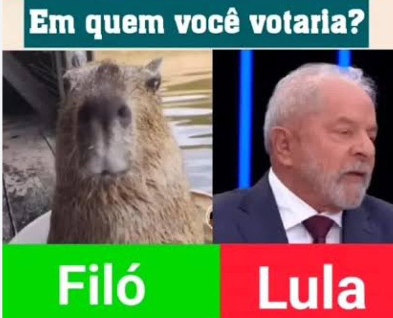 dieyme22's tweet photo. 🚨ENQUETE: comente👇🏻
1.  Filó: Faz o F
2. Lula: Faz o L https://t.co/co83bBLy8d