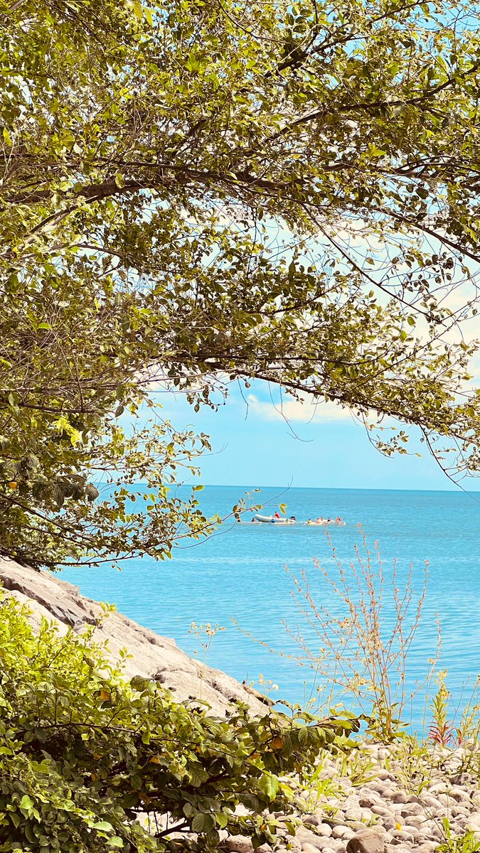 AnnBradfield's tweet photo. Out on the lake in Toronto #torontox #xlakelover #outdooradventures https://t.co/evERdFa6qL