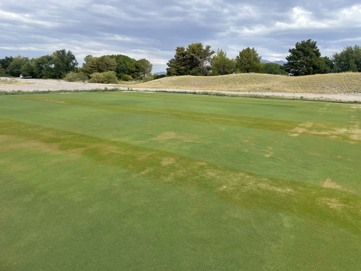 Jim Baird tweet media