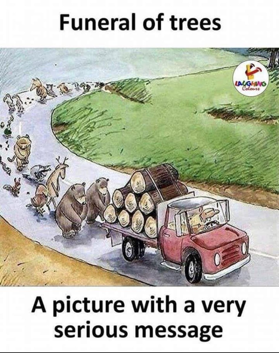 bengibaser's tweet photo. 🩸Tüm acımasızlığınızla o ağaçları yok ettiniz ve o masum hayvanların yuvalarını başlarına yıktınız siz… 
O canların laneti üzerinizde olsun hepinizin!.
#AkbeleneDokunma https://t.co/U78Gac2cw5