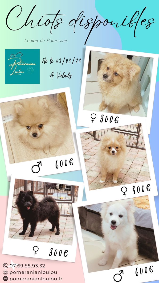 Antho Seulement tweet media