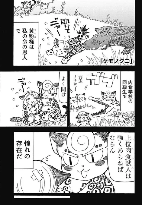 ケモノクニ17話配信🧢  人が家畜の世界で暮らす少年灰茶  3日間の閲覧数で原稿料が変わります 拡散よろしくお願いします!!!!!! #ケモノクニ 全話無料⬇️ 