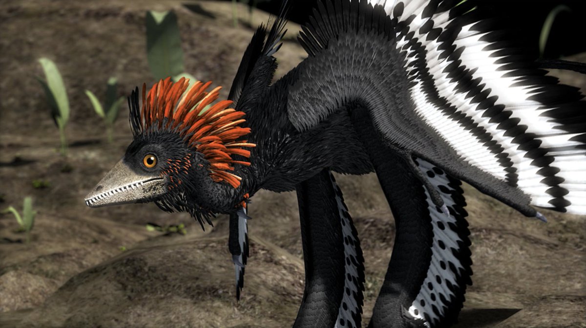 cdanielcadena's tweet photo. las aves son dinosaurios - ¿cómo lo sabemos? en parte gracias a organismos fósiles espectaculares como anchiornis huxleyi. vengan el jueves 3 a las 5 pm al centro cívico de @uniandes y les cuento más, y de una vez ven dos exhibiciones increíbles. entrada libre. https://t.co/UWmSdS8DMH