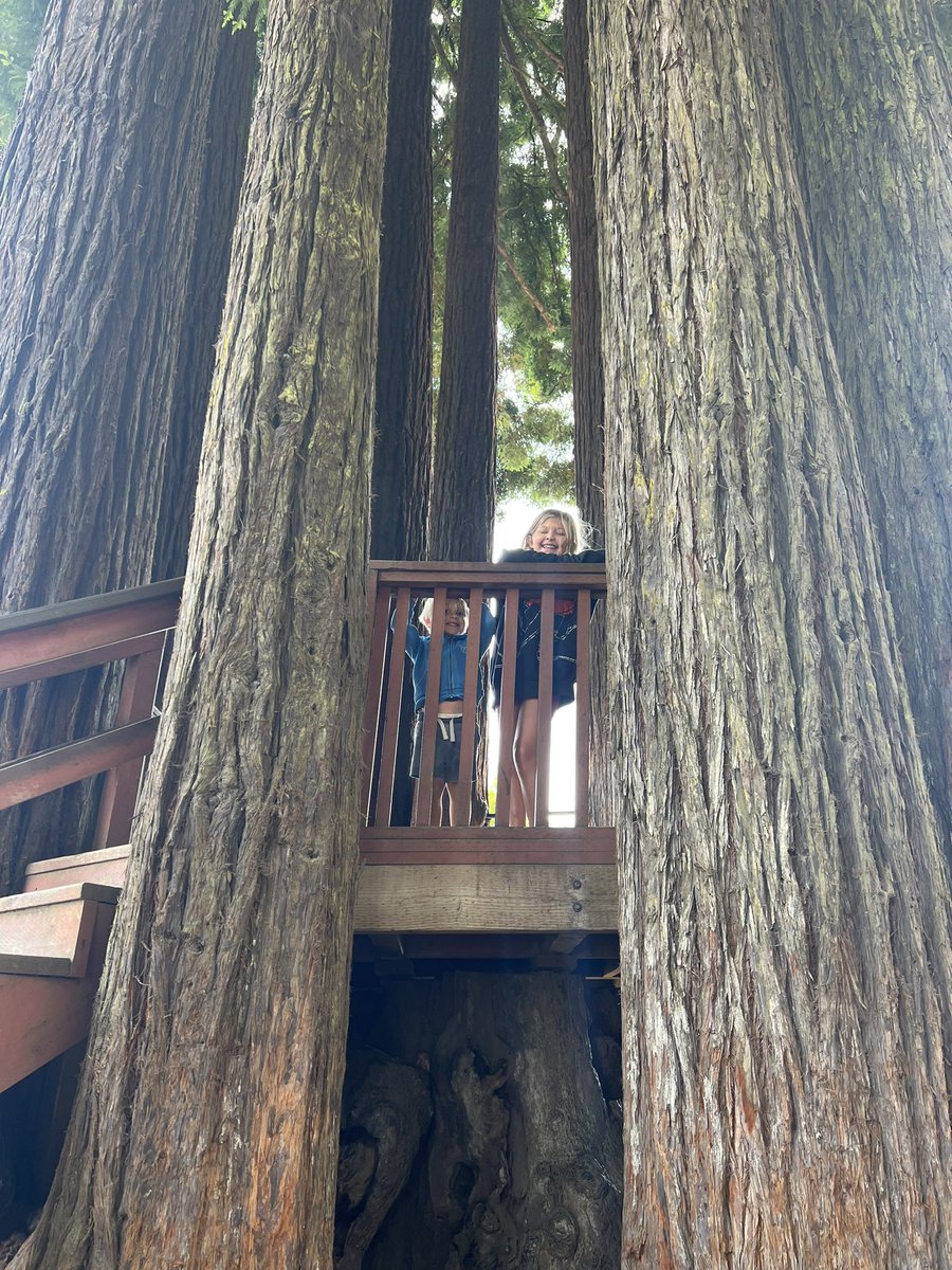 Jonathan Eagan tweet media