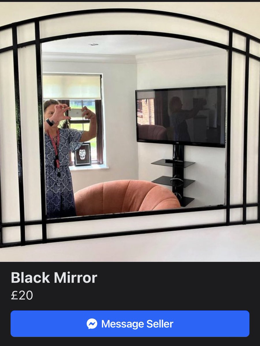 MisterOnions's tweet photo. Netflix subscription not included. @SellingAMirror https://t.co/eLX7u6kHJe