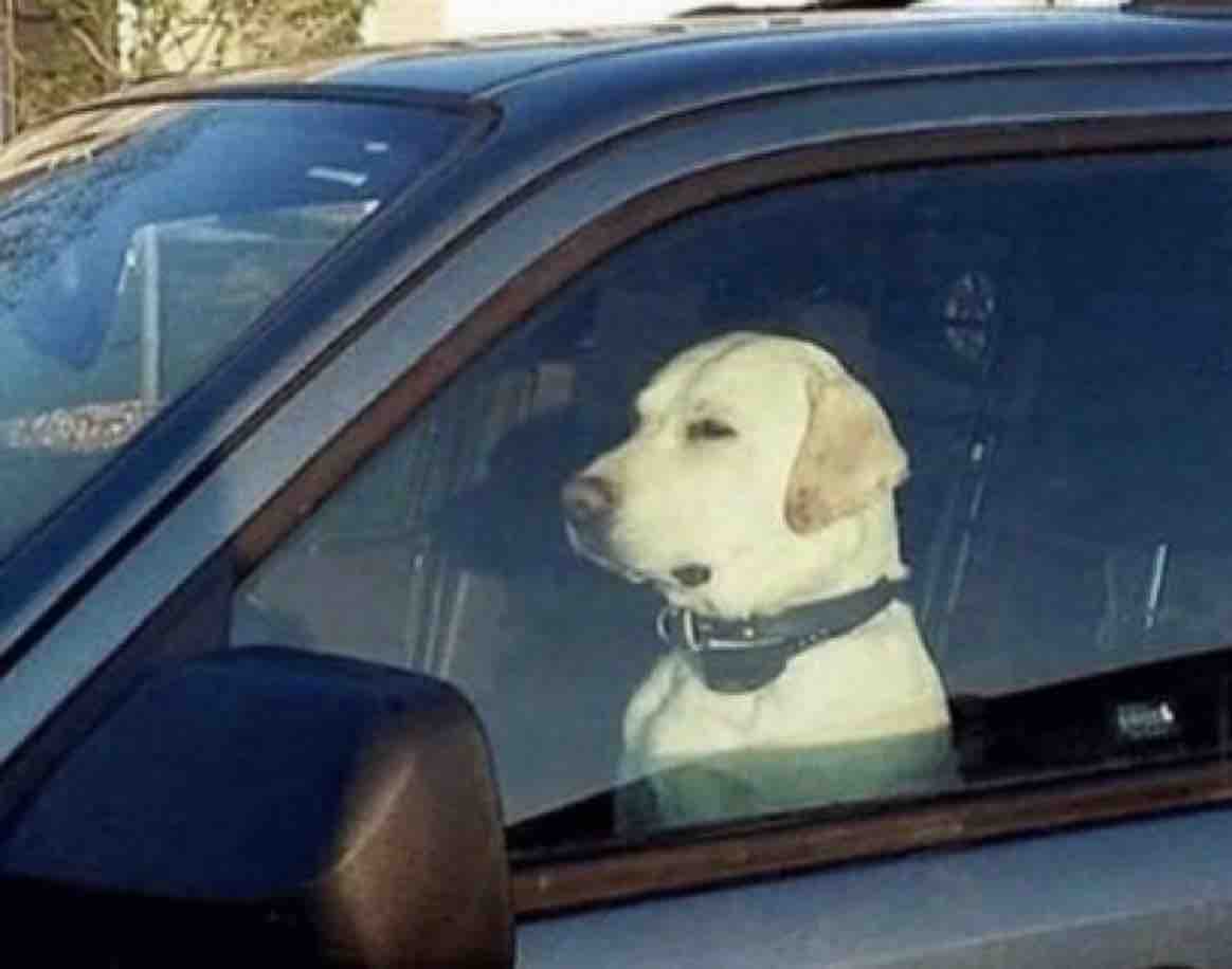 Cuando llegas a destino pero no queres salir del coche porque está sonando un temazo: