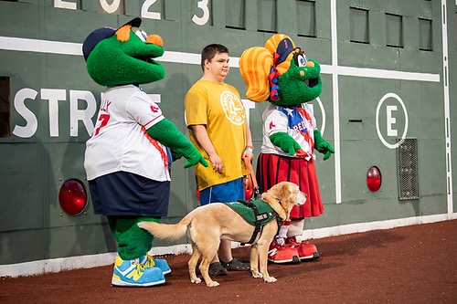 ECADServiceDogs's tweet photo. Last Tuesday, #ECADGrads Sean and Service Dog Cherokee were featured on the field at Fenway Park! Cherokee was the Service Dog of the game. Such a fantastic opportunity 🤩🐕‍⚾#ECADServiceDogs #ECADFam #ECADatFenway #FenwayPark #Accessibility #LasagnaLove #helpdogshelphumans https://t.co/921LoHtkyD