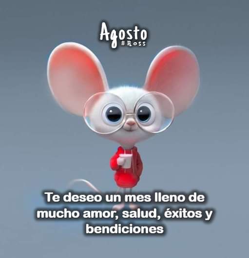 Bonita tarde
