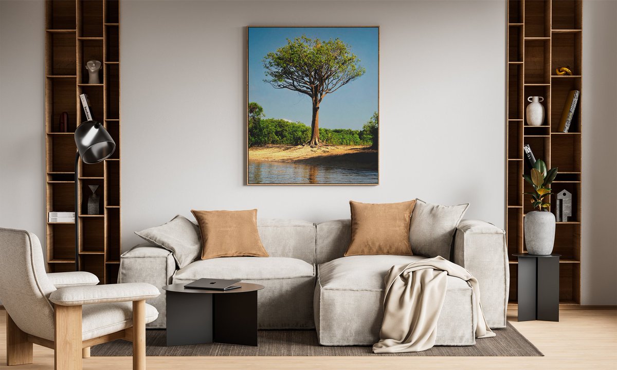 _FelipeRezende's tweet photo. https://t.co/TnlUb7jx0K