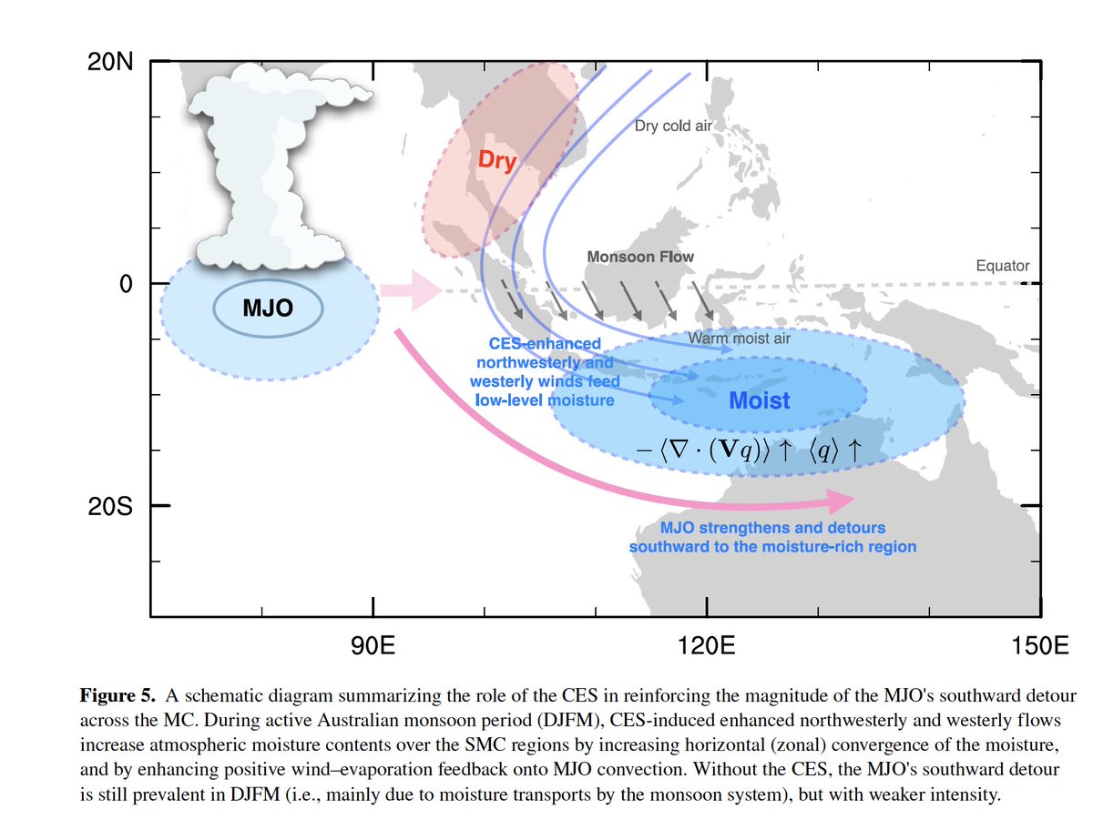 SandroWLubis's tweet photo. Our new work published in @AGU_Eos #GRL provides new insights into the dynamics that govern the intensity and southward detour of the MJO propagation over the MC, with an emphasis on the role of cross-equatorial northerly surge (CES). Lubis et al. (2023b)  https://t.co/ruf6F4M4qL https://t.co/Zy9EiW2fOX