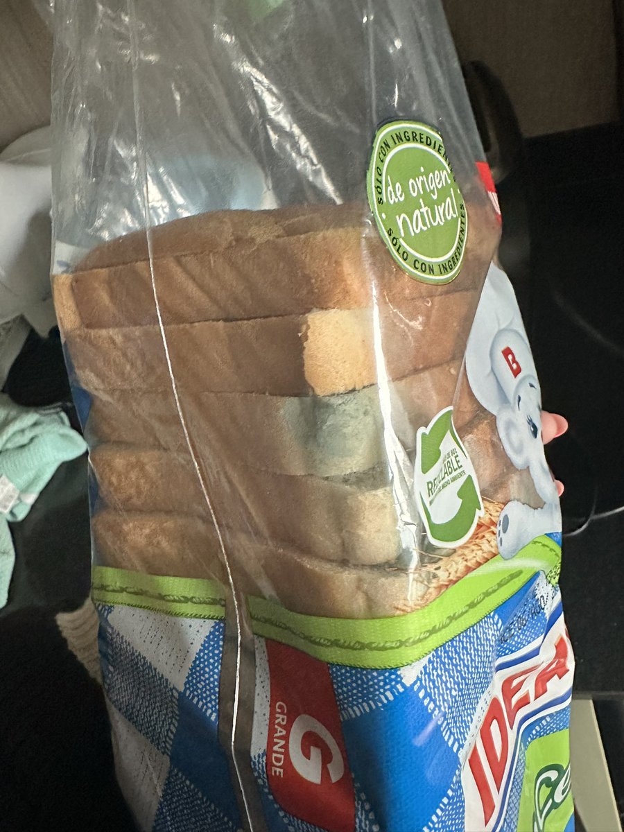 Mtrinidaad's tweet photo. @OXXOChile El día sábado compré un pan de molde Ideal en Oxxo ubicado en Ricardo Lyon con Carlos Antúnez en providencia, el día de ayer cuando lo abrí para hacerme desayuno me di cuenta que este se encontraba lleno de hongos pese a que su fecha de vencimiento dice 06 de agosto https://t.co/qnzzgwbpUu