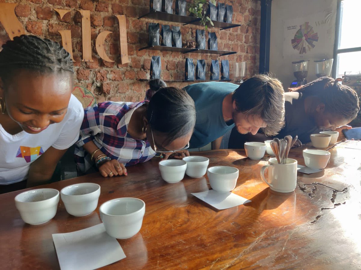 CoffeeMindsHub's tweet photo. Don’t tell people that we have one of the best coffee in the world. Just show them and allow them to fall in love with it😍 and you will be able to see that in their smile😁
@thewildbrand @wildcoffeebar1 @mutenyi_derick https://t.co/4WvmVxy8aK