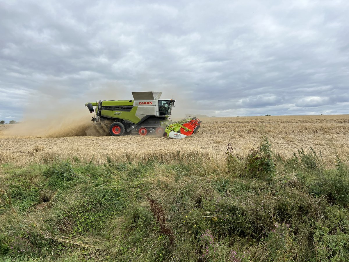 James S. Peck tweet media