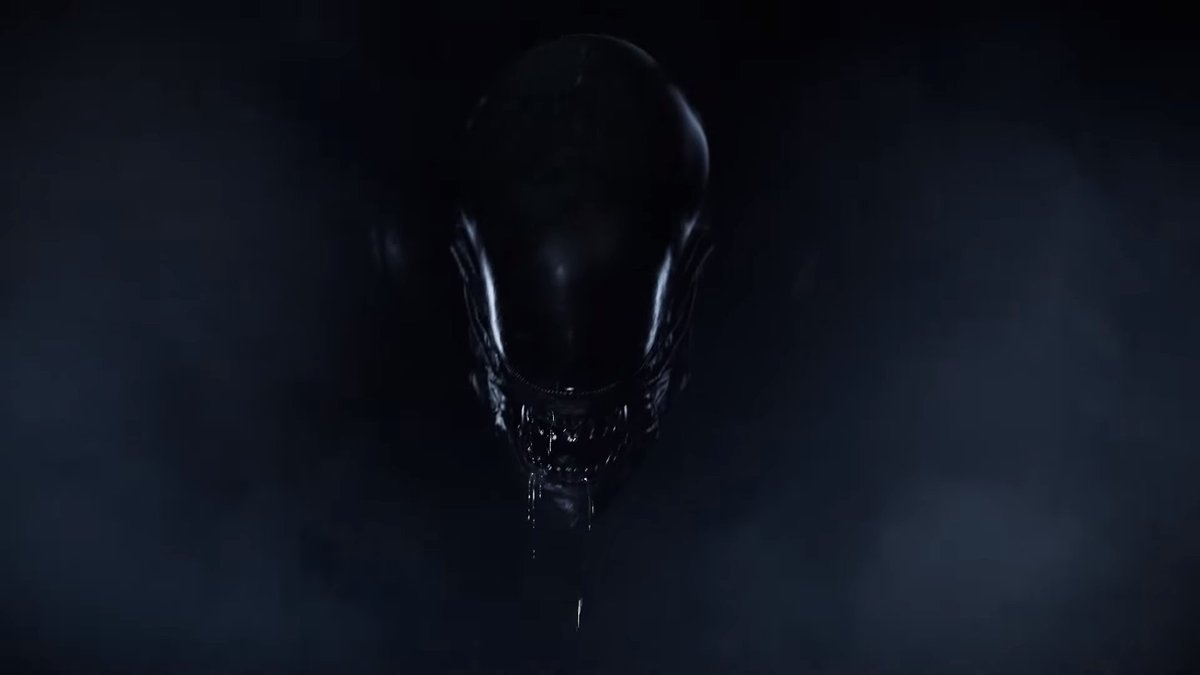 Schmuckles tweet media