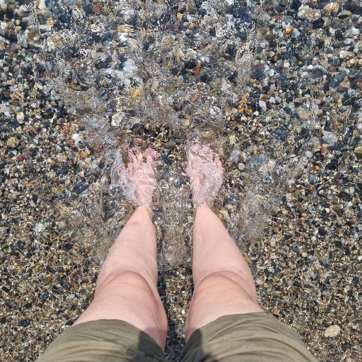 DjDragonscale's tweet image. Hello, August! 🏖 A month full of surpries is here! 🍉 Weekly reels coming again (...) due to some important changes 🎲🍕 (...) a little effort/sacrifice is needed ☝🏼 #SoaringOnlySummerHopes #NewMonthNewChances #SoaringOnly
📸 also on @instagram
instagram.com/p/CvZk04nsU3Q/…