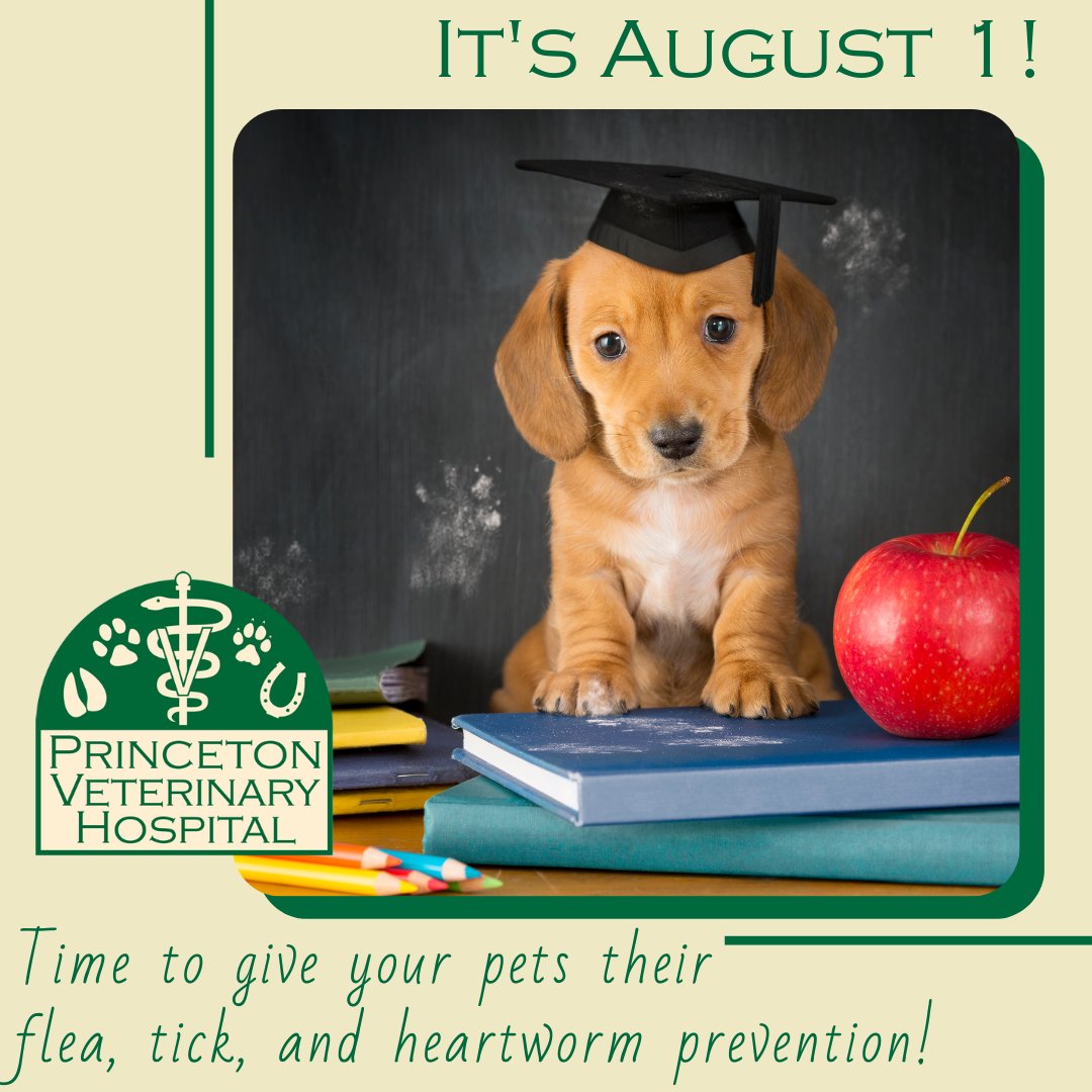Princeton Veterinary Hospital tweet media