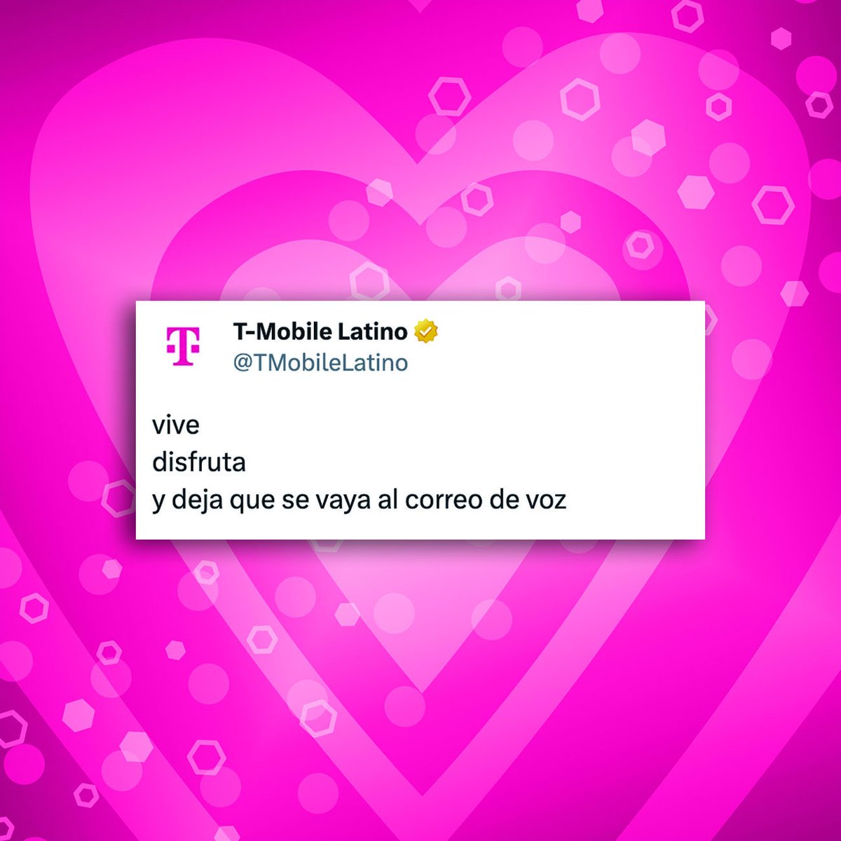 sshyest's tweet photo. Igualito a mí 😅 https://t.co/J0aBSn44Bw