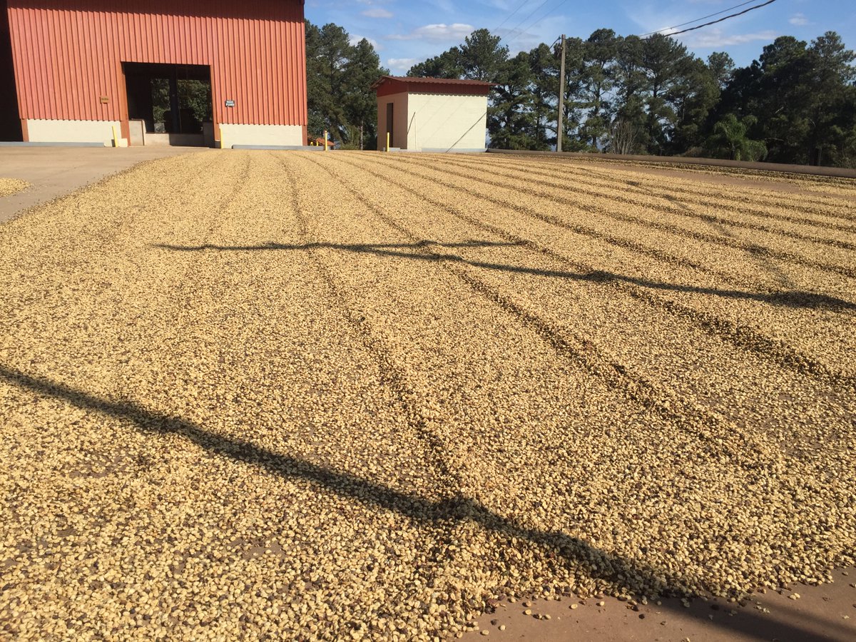 Marcelo Teixeira tweet media