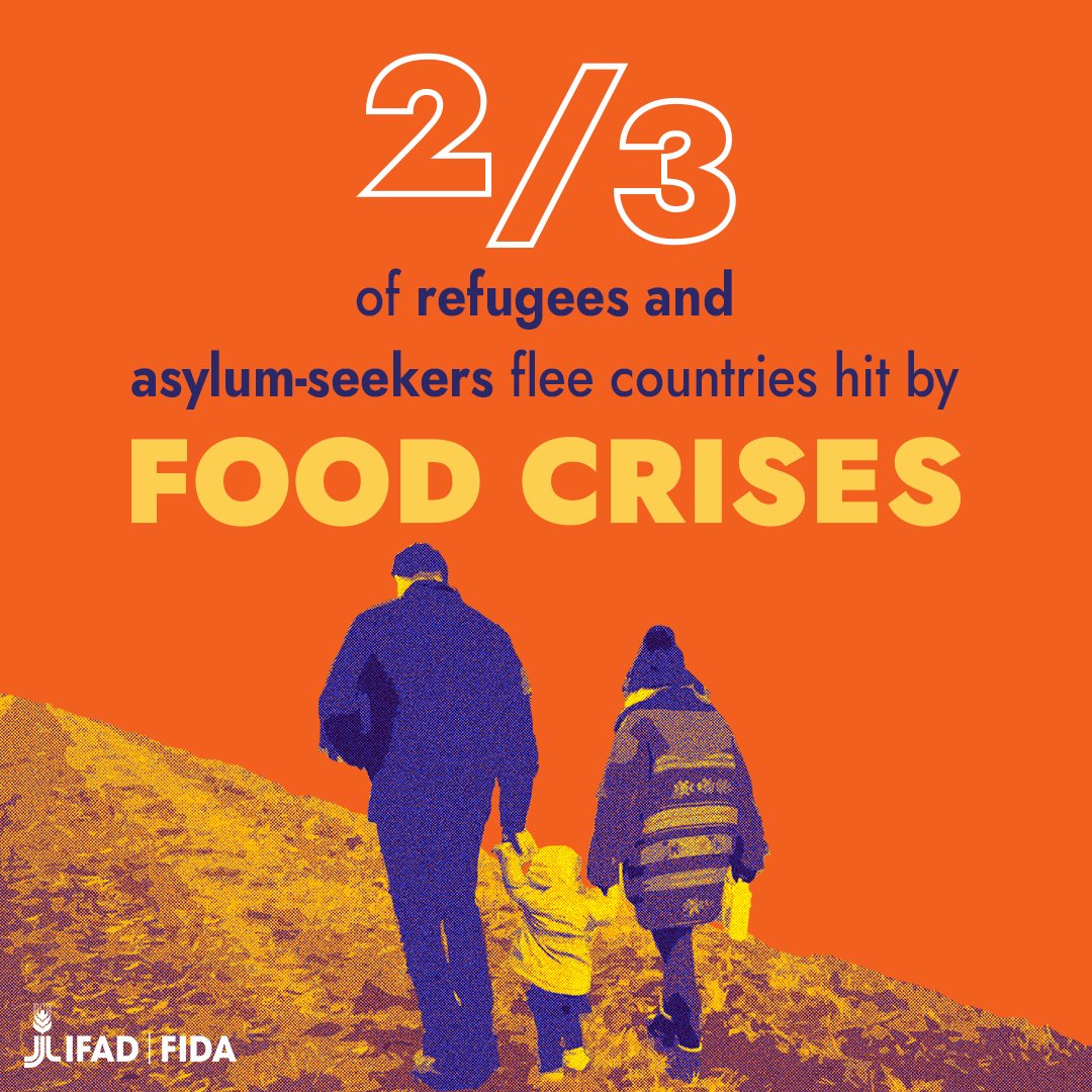 IFAD's tweet photo. We need resilient food systems.
We need resilient small-scale farms.
We need to invest in a future where no one is #ForcedToFlee. https://t.co/dAtydKJoVh
