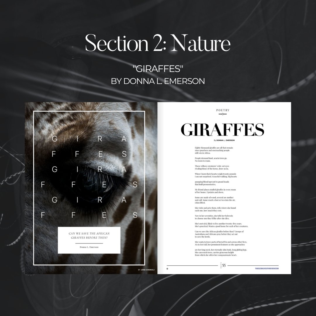 GlobalYouthRev's tweet image. 📚🌿🌪️Here’s a sneak peek of what our fifth issue looks like!! Set to release on August 5th, our issue first explores the intricacies of identity before delving into the serenity and beauty of nature. Our issue finally ends with an exploration of life’s trials in “Storms”.