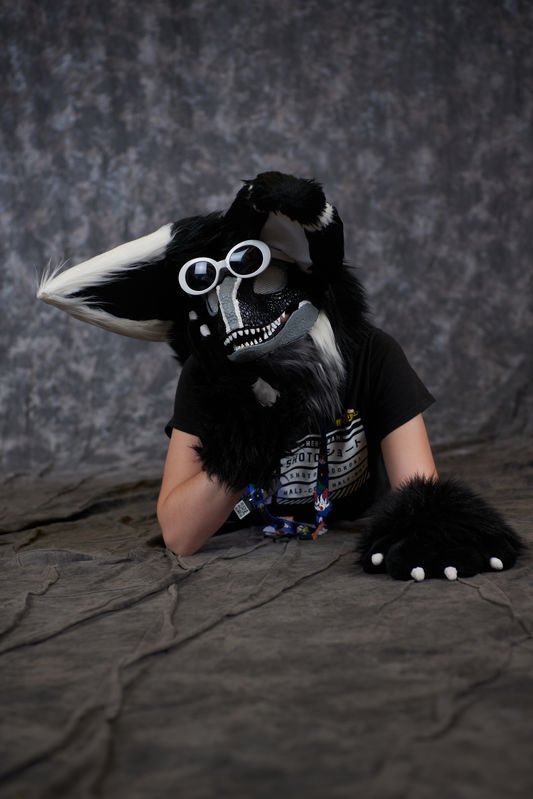 Pixel_Dusk's tweet photo. The photos I got taken at Anthrocon finally got uploaded yesterday. #furryfandom #furrycommunity #Anthrocon #furries #anthrocon2023 https://t.co/Oqxn8UxB4j