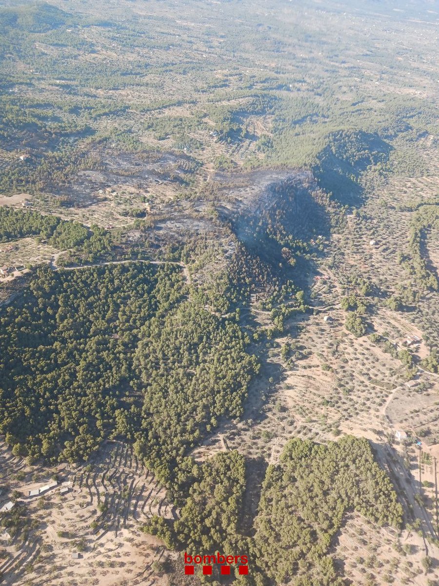 L'importancia dels paisatges agroforestals. ✅ #resiliencia Aqui, en cas d'ignició, vingui d'on vingui, es pot treballar dintre de capacitat d'extinció.