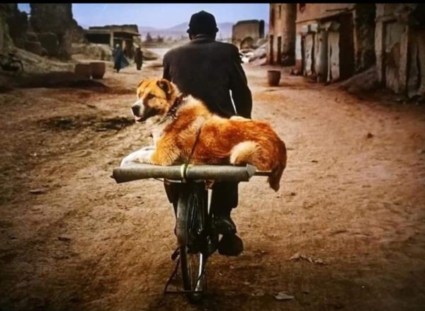 "Güven yoksul, sevgi bencil, vicdan sessiz, 
ortalık insan kaynıyor ama herkes yalnız.."