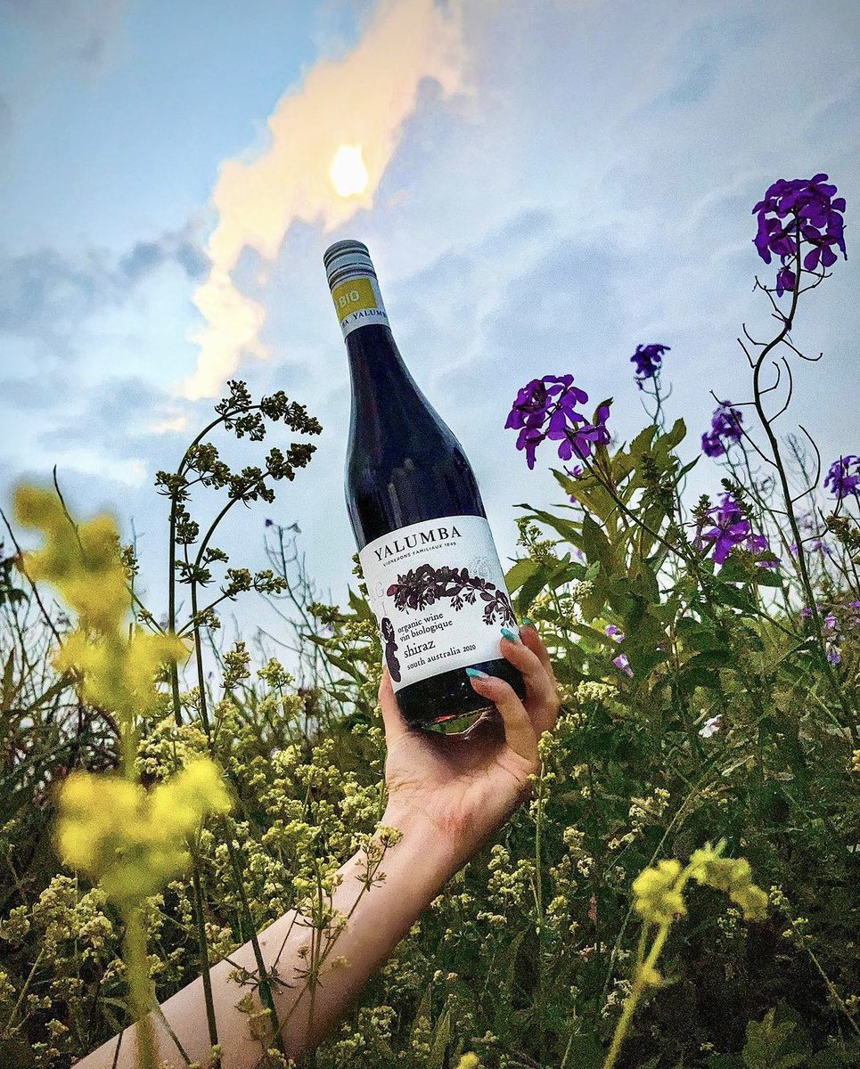 instagram.com/p/CvU3irLADLU/…