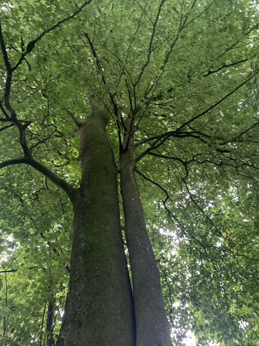 Mark Shephard 🏳️‍🌈 tweet media