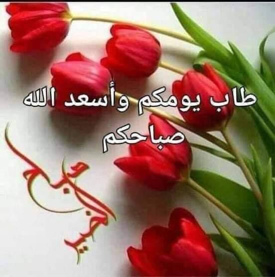 sryfsyd9's tweet photo. @mrwjdh1 موجود https://t.co/D6LnqtdyKe