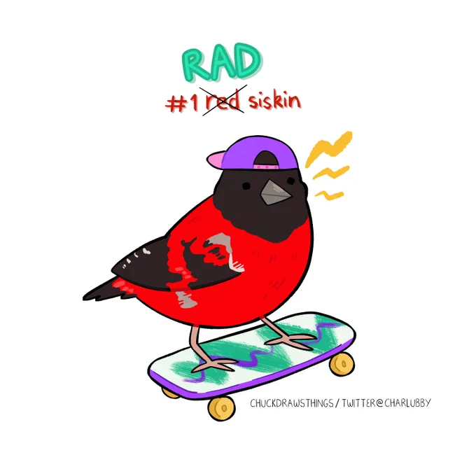 day 1, red siskin  #AvianAugust