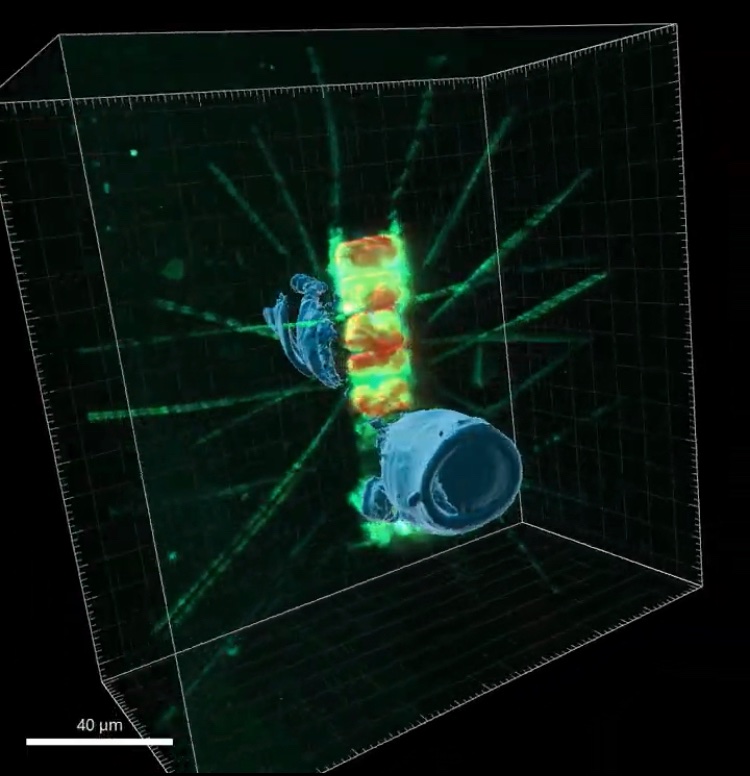 Tinadynamics tweet media