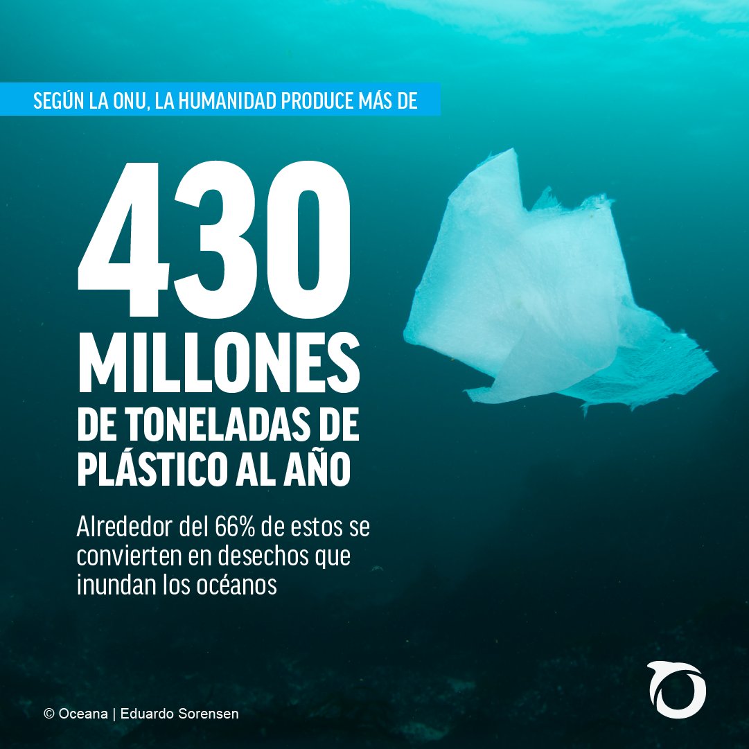 Oceana_Peru's tweet photo. ⚠️ ESTA FOTO FUE TOMADA DURANTE NUESTRA EXPEDICIÓN EN PARACAS 👇🏻

Cada vez que descartamos un producto de plástico, puede tardar cientos de años en descomponerse, tiempo durante el cual contamina nuestros mares y pone en riesgo la salud pública.

Si bien es cierto, la #LeyDePlásticos (promulgada en 2018) ha ayudado a reducir los residuos plásticos en el país. Sin embargo, AÚN está pendiente completar su reglamentación. Lee más al respecto 👉🏻 https://t.co/lebjEOxAj3