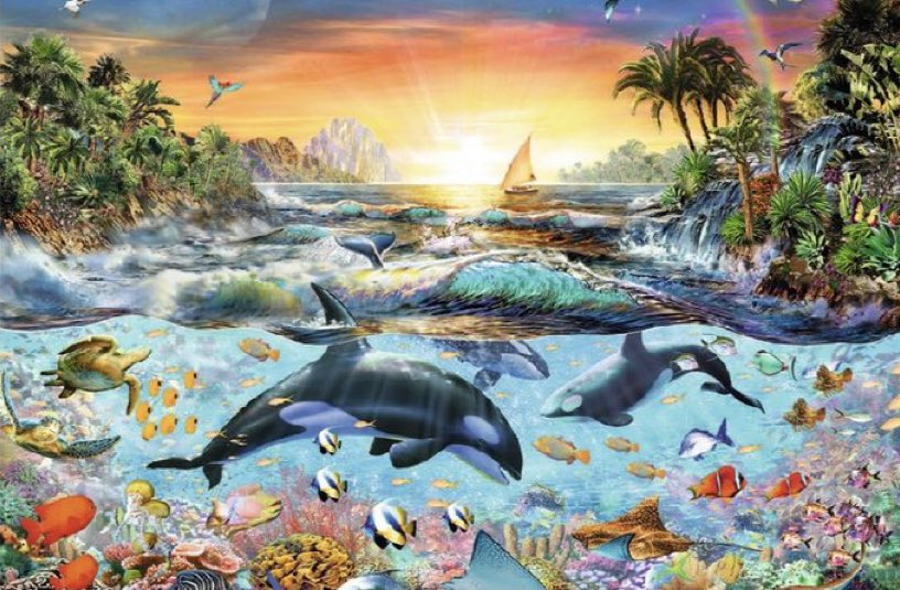 DaveMcNamee3000's tweet image. Ocean City Maryland looks like this