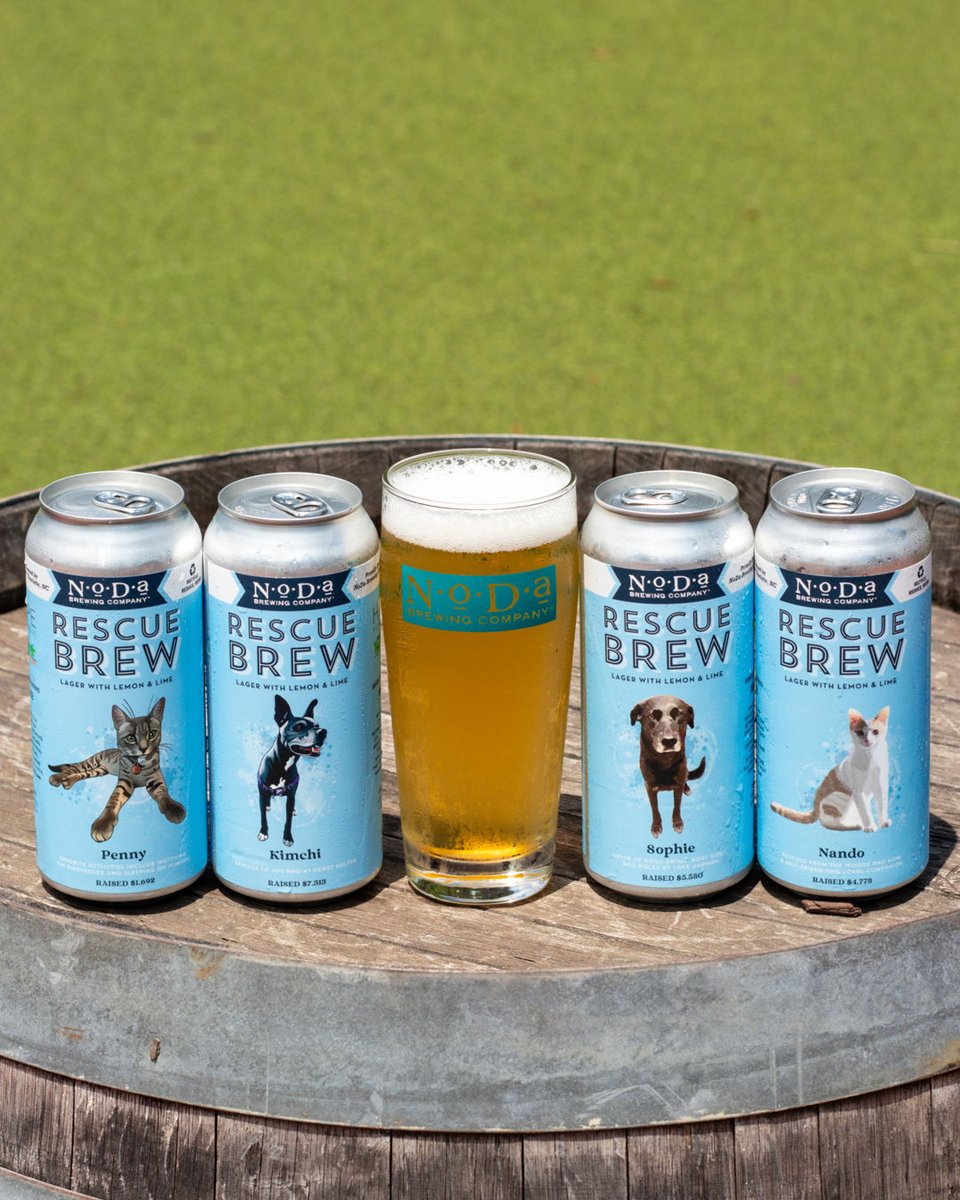 NoDa Brewing Company tweet media