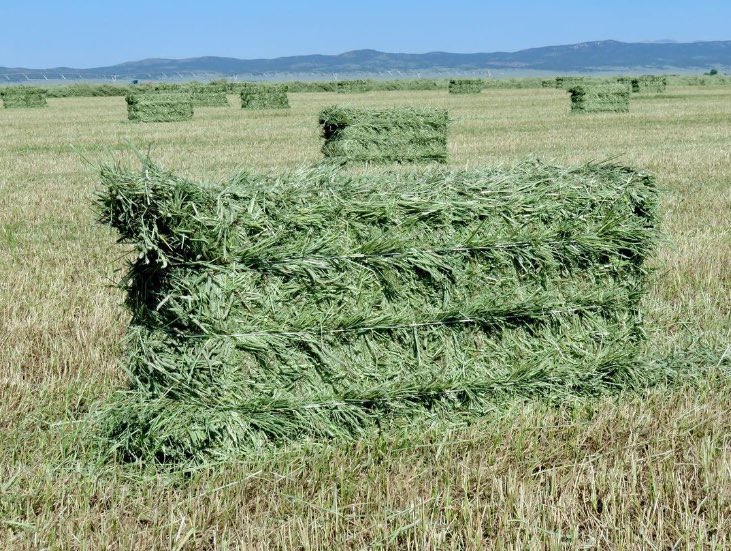 Cut, rake, bale... repeat!