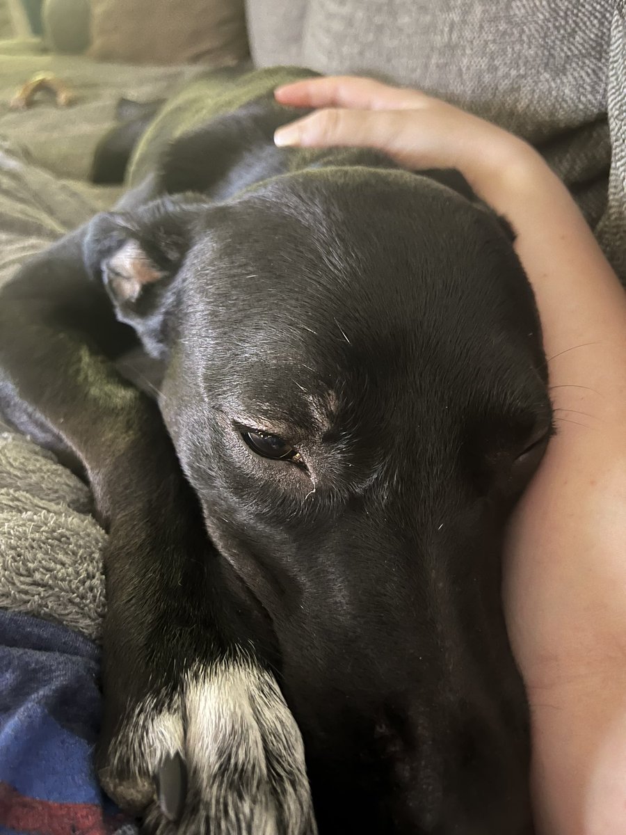 Lindi Stammann tweet media