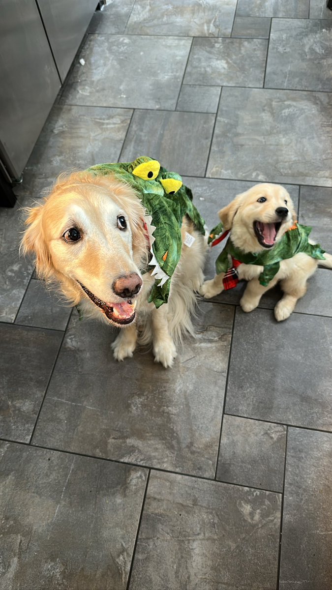 LUCY loves her new little brother GOKU 🐶❤️