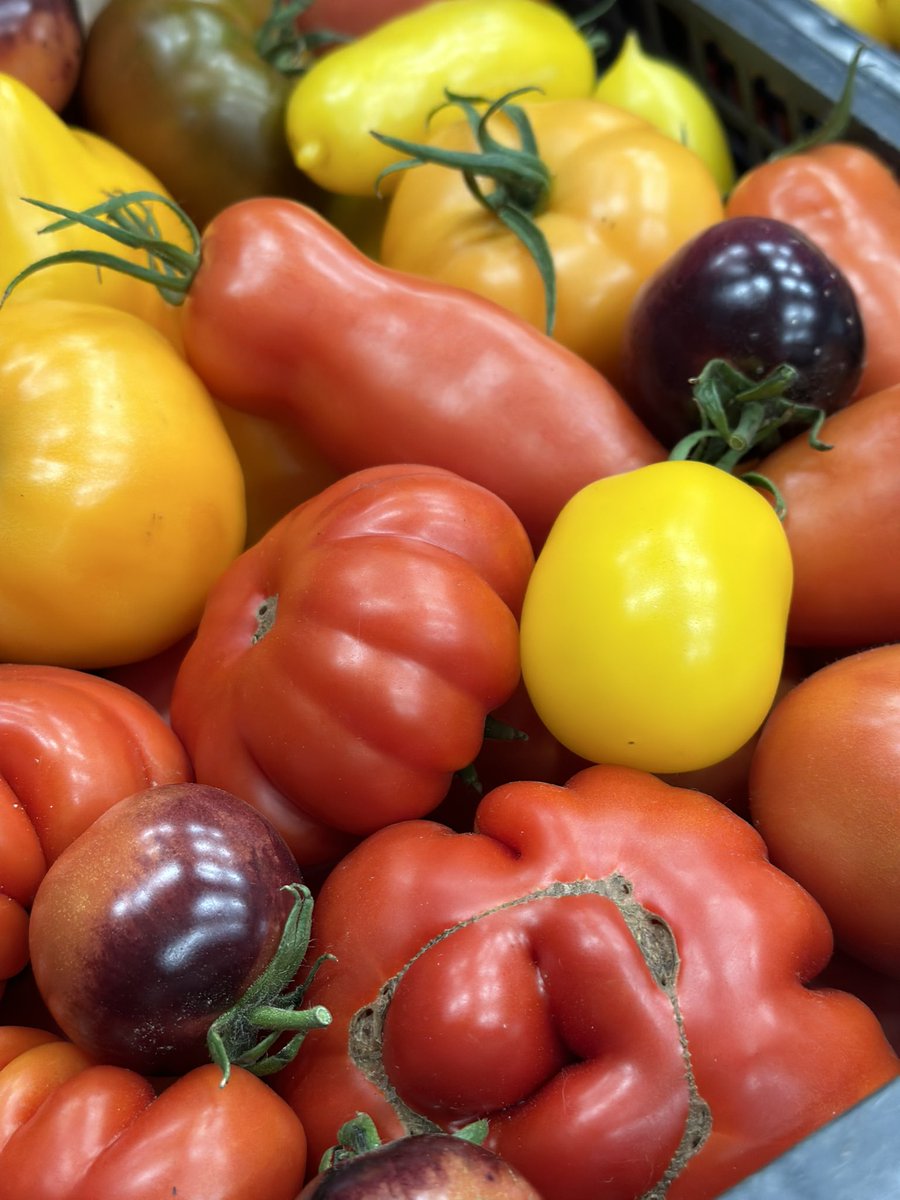 Augļu Serviss tweet media