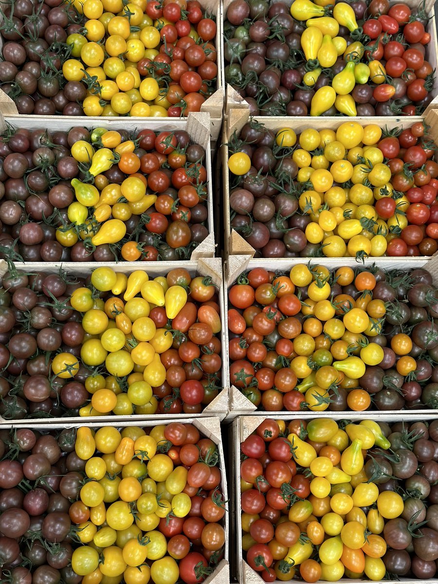 Augļu Serviss tweet media